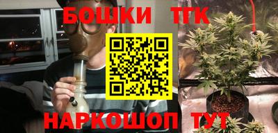 гашик Малгобек
